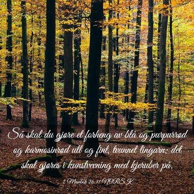 Picture 03 - 2 Mosebok 26:31 NORSK - Så skal du gjøre et forheng av blå og - Bible Verse Picture
