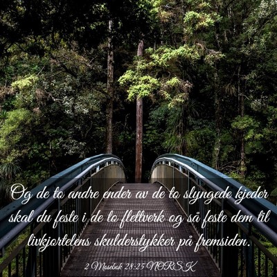Picture 03 - 2 Mosebok 28:25 NORSK - Og de to andre ender av de to slyngede kjeder - Bible Verse Picture