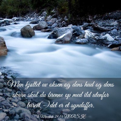 Picture 03 - 2 Mosebok 29:14 NORSK - Men kjøttet av oksen og dens hud og dens skarn - Bible Verse Picture