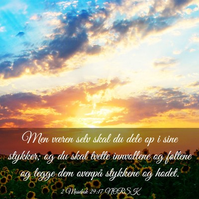 Picture 03 - 2 Mosebok 29:17 NORSK - Men væren selv skal du dele op i sine stykker; - Bible Verse Picture