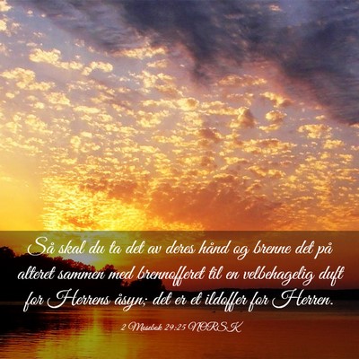 Picture 03 - 2 Mosebok 29:25 NORSK - Så skal du ta det av deres hånd og brenne det - Bible Verse Picture