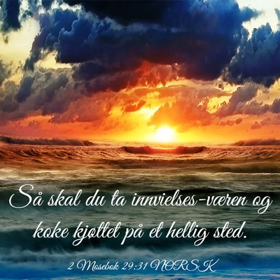 Picture 03 - 2 Mosebok 29:31 NORSK - Så skal du ta innvielses-væren og koke kjøttet - Bible Verse Picture