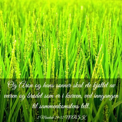Picture 03 - 2 Mosebok 29:32 NORSK - Og Aron og hans sønner skal ete kjøttet av - Bible Verse Picture