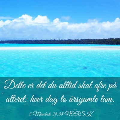 Picture 03 - 2 Mosebok 29:38 NORSK - Dette er det du alltid skal ofre på alteret: - Bible Verse Picture