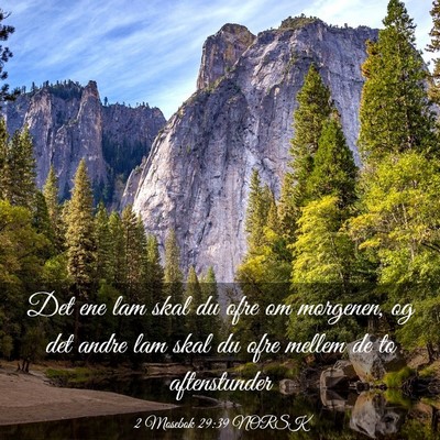 Picture 03 - 2 Mosebok 29:39 NORSK - Det ene lam skal du ofre om morgenen, og det - Bible Verse Picture