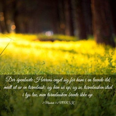 Picture 03 - 2 Mosebok 3:2 NORSK - Der åpenbarte Herrens engel sig for ham i en - Bible Verse Picture