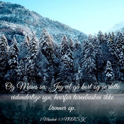 Picture 03 - 2 Mosebok 3:3 NORSK - Og Moses sa: Jeg vil gå bort og se dette - Bible Verse Picture