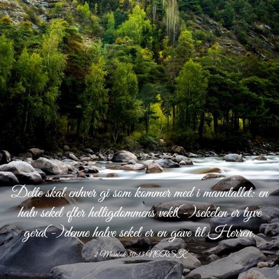 Picture 03 - 2 Mosebok 30:13 NORSK - Dette skal enhver gi som kommer med i manntallet: - Bible Verse Picture