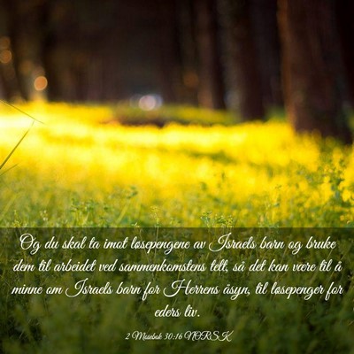 Picture 03 - 2 Mosebok 30:16 NORSK - Og du skal ta imot løsepengene av Israels barn - Bible Verse Picture