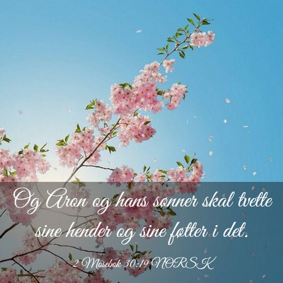 Picture 03 - 2 Mosebok 30:19 NORSK - Og Aron og hans sønner skal tvette sine hender - Bible Verse Picture