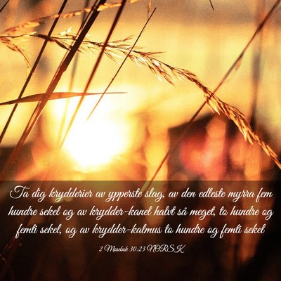 Picture 03 - 2 Mosebok 30:23 NORSK - Ta dig krydderier av ypperste slag, av den - Bible Verse Picture