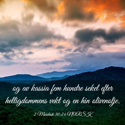 Picture 03 - 2 Mosebok 30:24 NORSK - og av kassia fem hundre sekel efter helligdommens - Bible Verse Picture