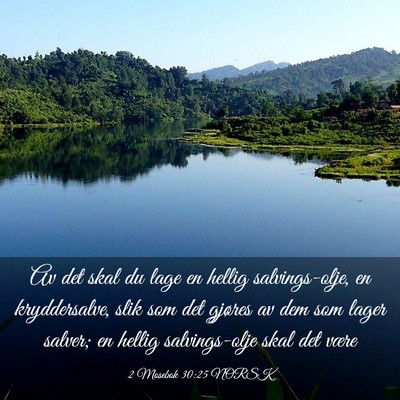 Picture 03 - 2 Mosebok 30:25 NORSK - Av det skal du lage en hellig salvings-olje, en - Bible Verse Picture