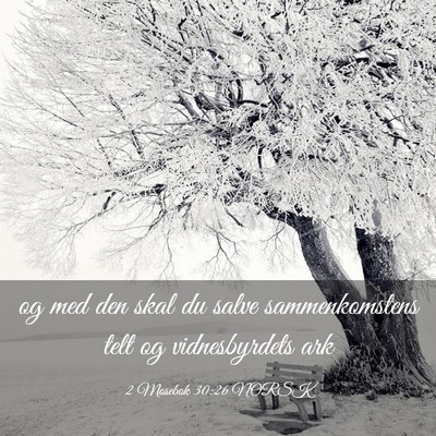 Picture 03 - 2 Mosebok 30:26 NORSK - og med den skal du salve sammenkomstens telt og - Bible Verse Picture