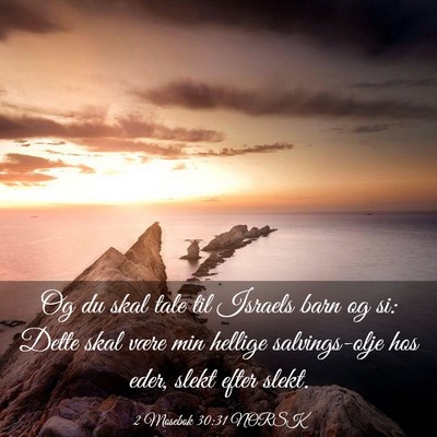 Picture 03 - 2 Mosebok 30:31 NORSK - Og du skal tale til Israels barn og si: Dette - Bible Verse Picture