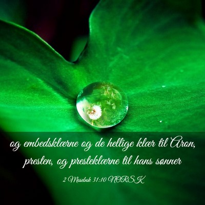 Picture 03 - 2 Mosebok 31:10 NORSK - og embedsklærne og de hellige klær til Aron, - Bible Verse Picture