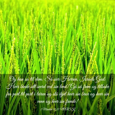 Picture 03 - 2 Mosebok 32:27 NORSK - Og han sa til dem: Så sier Herren, Israels Gud: - Bible Verse Picture