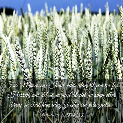 Picture 03 - 2 Mosebok 32:29 NORSK - For Moses sa: Innvi eder idag til prester for - Bible Verse Picture