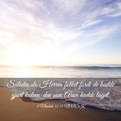 Picture 03 - 2 Mosebok 32:35 NORSK - Således slo Herren folket fordi de hadde gjort - Bible Verse Picture