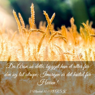 Picture 03 - 2 Mosebok 32:5 NORSK - Da Aron så dette, bygget han et alter for den og - Bible Verse Picture