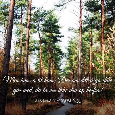 Picture 03 - 2 Mosebok 33:15 NORSK - Men han sa til ham: Dersom ditt åsyn ikke går - Bible Verse Picture