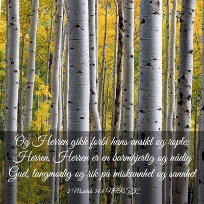 Picture 03 - 2 Mosebok 34:6 NORSK - Og Herren gikk forbi hans ansikt og ropte: - Bible Verse Picture