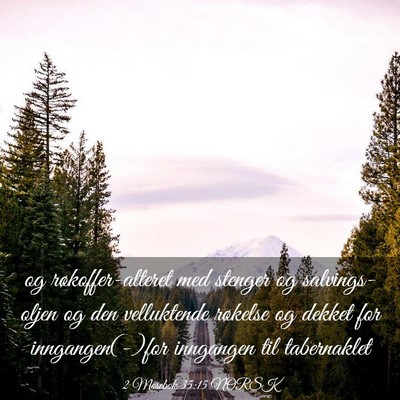 Picture 03 - 2 Mosebok 35:15 NORSK - og røkoffer-alteret med stenger og - Bible Verse Picture