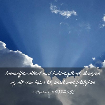 Picture 03 - 2 Mosebok 35:16 NORSK - brennoffer-alteret med kobbergitteret, stengene - Bible Verse Picture