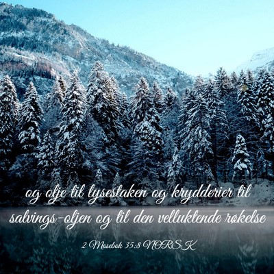 Picture 03 - 2 Mosebok 35:8 NORSK - og olje til lysestaken og krydderier til - Bible Verse Picture