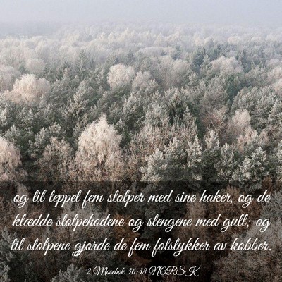 Picture 03 - 2 Mosebok 36:38 NORSK - og til teppet fem stolper med sine haker, og de - Bible Verse Picture