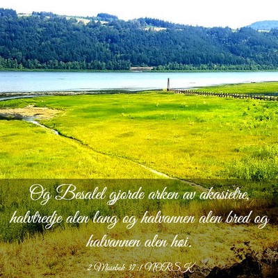 Picture 03 - 2 Mosebok 37:1 NORSK - Og Besalel gjorde arken av akasietre, halvtredje - Bible Verse Picture