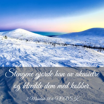 Picture 03 - 2 Mosebok 38:6 NORSK - Stengene gjorde han av akasietre og klædde dem - Bible Verse Picture