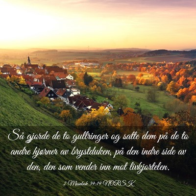 Picture 03 - 2 Mosebok 39:19 NORSK - Så gjorde de to gullringer og satte dem på de - Bible Verse Picture