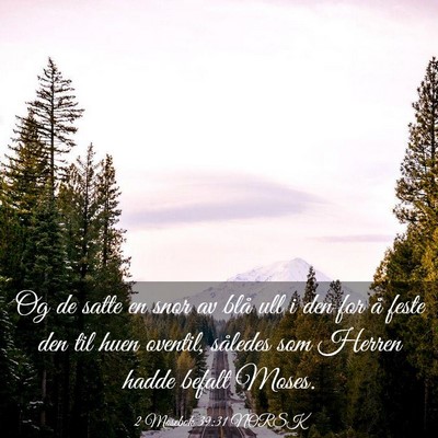 Picture 03 - 2 Mosebok 39:31 NORSK - Og de satte en snor av blå ull i den for å - Bible Verse Picture