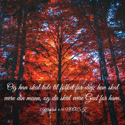 Picture 03 - 2 Mosebok 4:16 NORSK - Og han skal tale til folket for dig; han skal - Bible Verse Picture