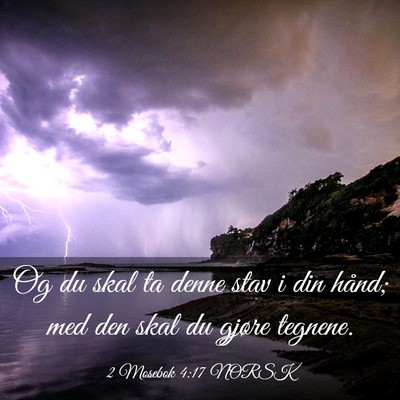 Picture 03 - 2 Mosebok 4:17 NORSK - Og du skal ta denne stav i din hånd; med den - Bible Verse Picture