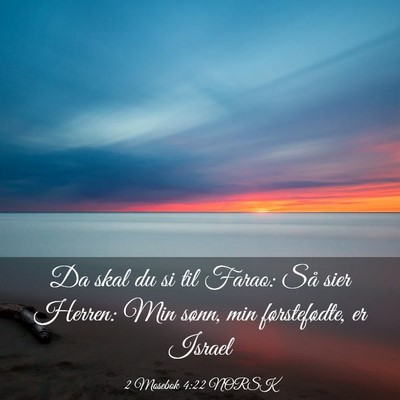 Picture 03 - 2 Mosebok 4:22 NORSK - Da skal du si til Farao: Så sier Herren: Min - Bible Verse Picture