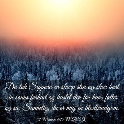 Picture 03 - 2 Mosebok 4:25 NORSK - Da tok Sippora en skarp sten og skar bort sin - Bible Verse Picture