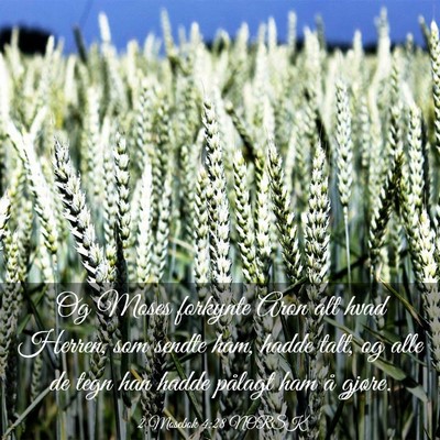 Picture 03 - 2 Mosebok 4:28 NORSK - Og Moses forkynte Aron alt hvad Herren, som - Bible Verse Picture