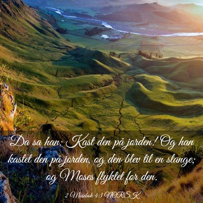 Picture 03 - 2 Mosebok 4:3 NORSK - Da sa han: Kast den på jorden! Og han kastet den - Bible Verse Picture