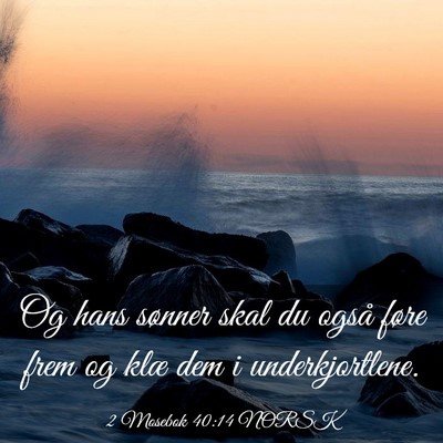 Picture 03 - 2 Mosebok 40:14 NORSK - Og hans sønner skal du også føre frem og klæ - Bible Verse Picture