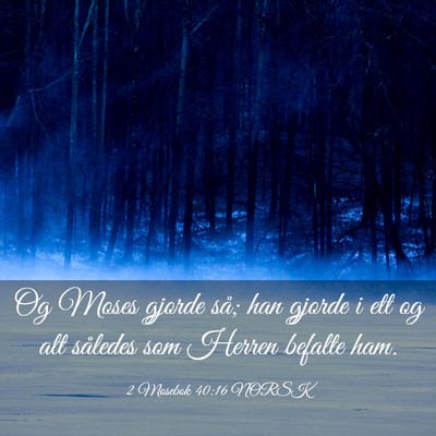 Picture 03 - 2 Mosebok 40:16 NORSK - Og Moses gjorde så; han gjorde i ett og alt - Bible Verse Picture