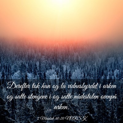 Picture 03 - 2 Mosebok 40:20 NORSK - Derefter tok han og la vidnesbyrdet i arken og - Bible Verse Picture