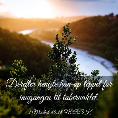 Picture 03 - 2 Mosebok 40:28 NORSK - Derefter hengte han op teppet for inngangen til - Bible Verse Picture