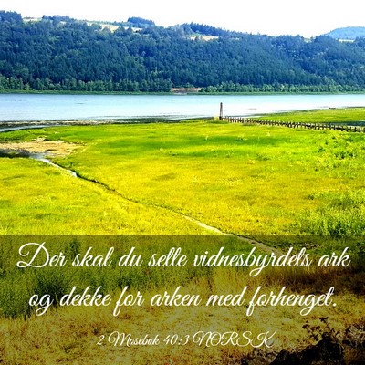 Picture 03 - 2 Mosebok 40:3 NORSK - Der skal du sette vidnesbyrdets ark og dekke for - Bible Verse Picture