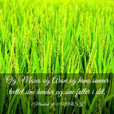 Picture 03 - 2 Mosebok 40:31 NORSK - Og Moses og Aron og hans sønner tvettet sine - Bible Verse Picture