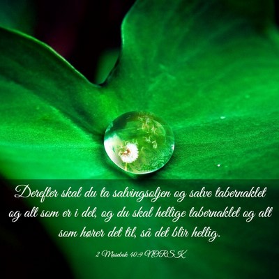 Picture 03 - 2 Mosebok 40:9 NORSK - Derefter skal du ta salvingsoljen og salve - Bible Verse Picture