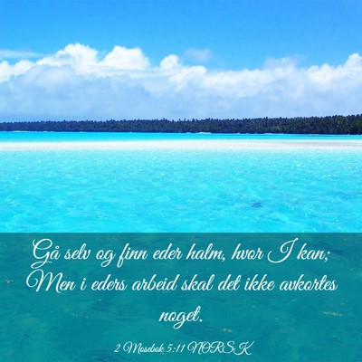 Picture 03 - 2 Mosebok 5:11 NORSK - Gå selv og finn eder halm, hvor I kan; Men i - Bible Verse Picture