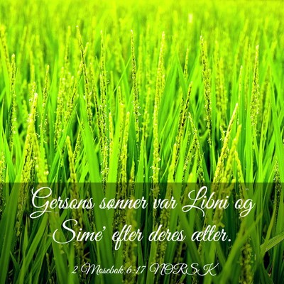 Picture 03 - 2 Mosebok 6:17 NORSK - Gersons sønner var Libni og Sime' efter deres - Bible Verse Picture