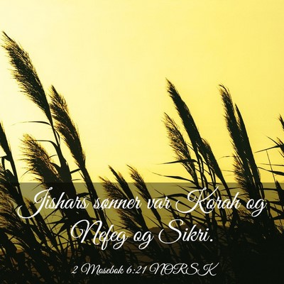 Picture 03 - 2 Mosebok 6:21 NORSK - Jishars sønner var Korah og Nefeg og - Bible Verse Picture